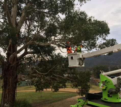 Irwin Clements Tree Service - Hobart, TAS