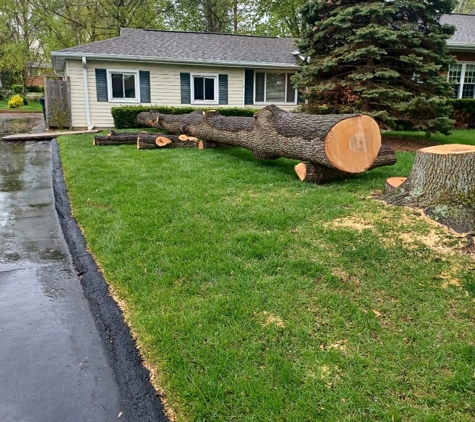 All American Brush Removal - Saint Louis, MO