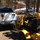 A1-Stump Grinding - Tree Service