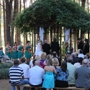 Chapel In The Pines