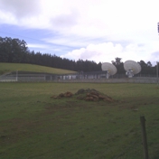 Gallery Image Number 1