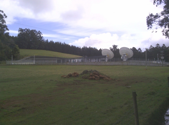 Lark & Creese - Kingston, TAS