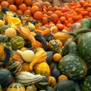 Linvilla Orchards - Orchards