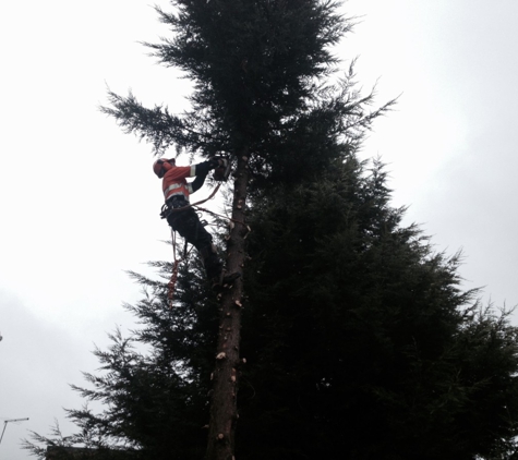 Adams Tree Services - St Leonards, TAS
