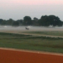 Spring Garden Ranch - Horse Training