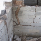 Gallery Image Number 7