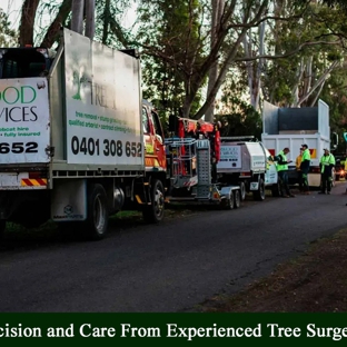 GTS Trees - Boonah, QLD. Precision and Care From Experienced Tree Surgeons