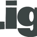 Liger Partners - Marketing Consultants