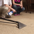 Steamout - Carpet & Rug Cleaners