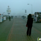 Santa Monica Pier Bait