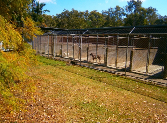 Chandler Boarding Kennels - Chandler, QLD. We care about your dogs