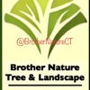 Brother Nature Tree & Landscape gallery