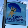 Canine Adventure gallery