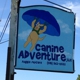 Canine Adventure