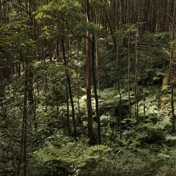 Gallery Image Number 5