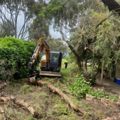 Gallery Image Number 2