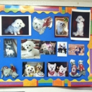 Royal Dog Grooming - Pet Boarding & Kennels