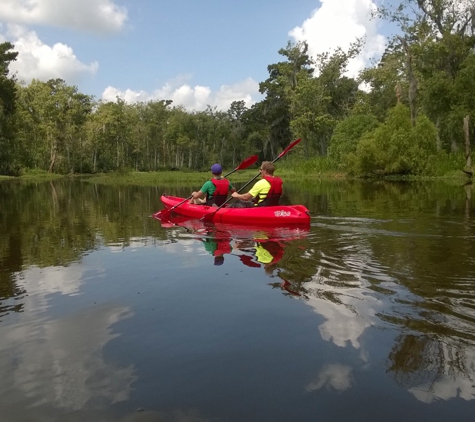 Kayak Swamp Tours - Lacombe, LA