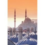 Gallery Image Number 1