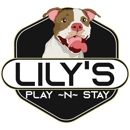 Lily's Play-N-Stay - Dog Training