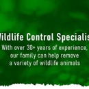 DixieLand Critter Gitter - Pest Control Services
