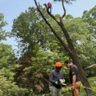 ABB Tree Services