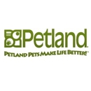 Petland Kennesaw - Pet Stores