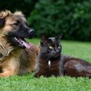 David Markin DVM - Veterinarians