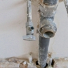 Rossi Rooter gallery