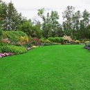 Alpha Landscaping, LLC - Landscaping & Lawn Services