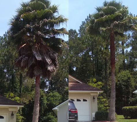 Dillon Tree Service - Jacksonville, FL