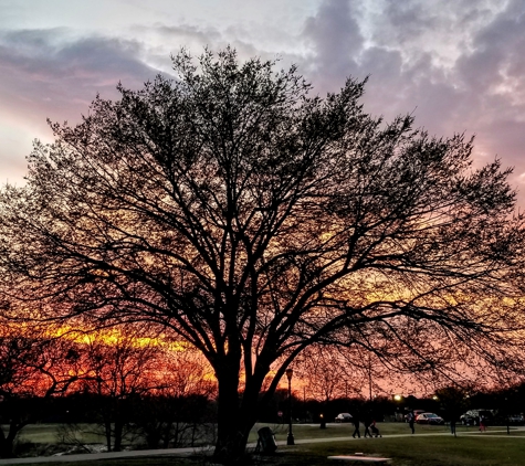 Arborilogical Services Inc. - Wylie, TX