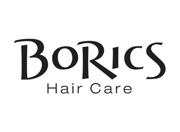 BoRics Hair Care - Westland, MI