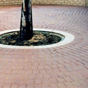 Gallery Image Number 1
