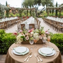 Williams Party Rentals - Party Supply Rental