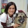 Acosta  Veterinary Hospital gallery