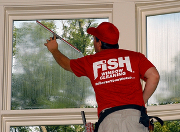 Fish Window Cleaning - Duncanville, TX