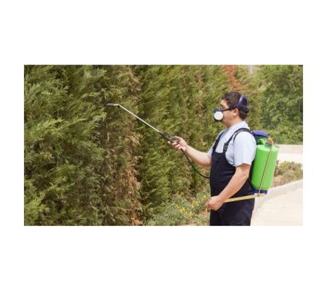 Australian Pest Services - Kelso, NSW