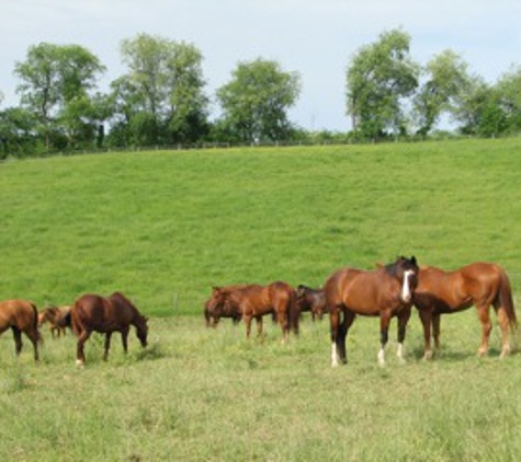 GilMar Stables Inc - Eighty Four, PA