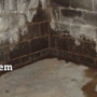 Basement Systems Inc