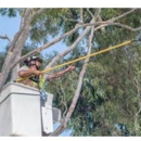 Maggs Professional Tree Service - Mulches