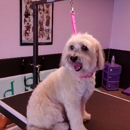 Bubbly Bow Wow Dog Grooming - CLOSED