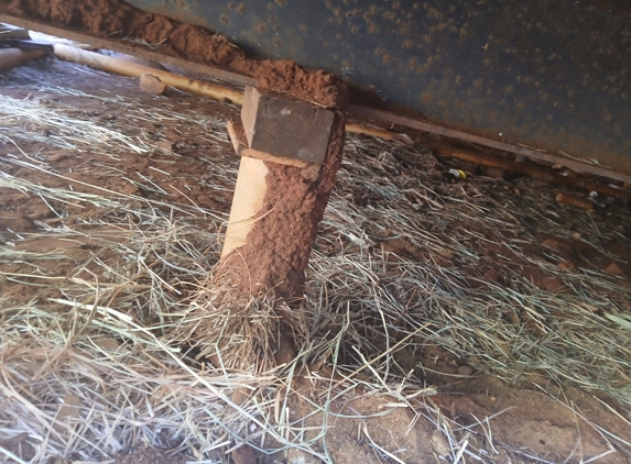 Newman Pest Control - Newman, WA