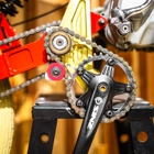 Cognition Cyclery