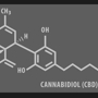 Vibestasis Labs