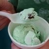 Maritas Custard gallery