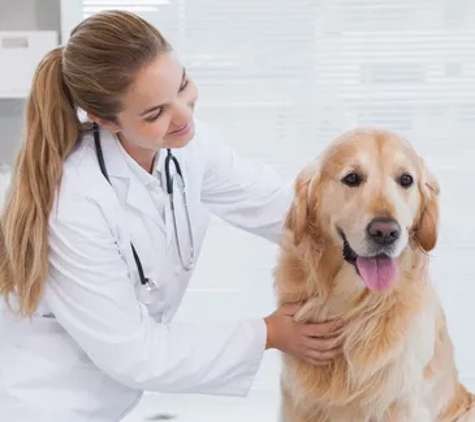 Kempsey Veterinary Clinic - Kempsey, NSW