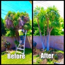 Hala Tree Service - Tree Service