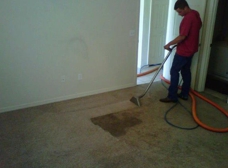 Atlas Carpet Care Alachua Fl 32615