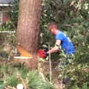 A-Local Tree Service - Tree Service